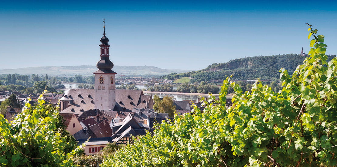 The rooftops and vineyards of Rudesheim